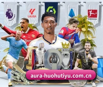 火狐体育官网 APP(HuoHuSPORTS)