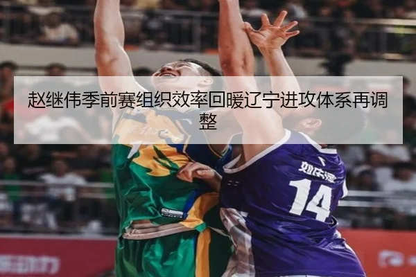 赵继伟季前赛组织效率回暖辽宁进攻体系再调整(HuoHuSPORTS)